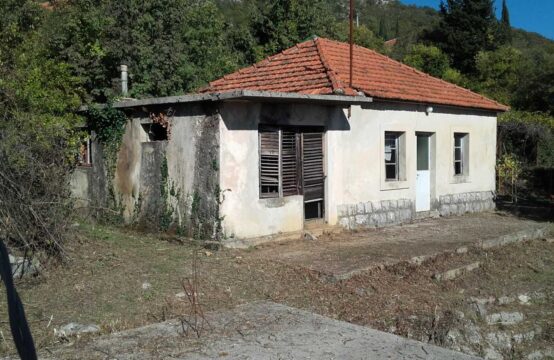 House for renovation with another building