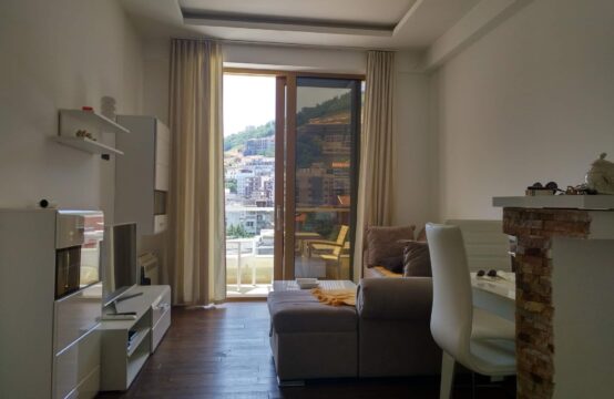 One bedroom apartment in the very center of the city