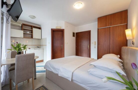 Studio apartman u strogom centru grada