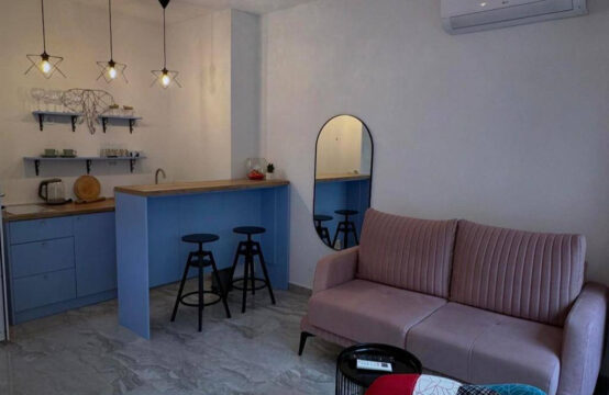 One-bedroom apartment for rent for one year or longer