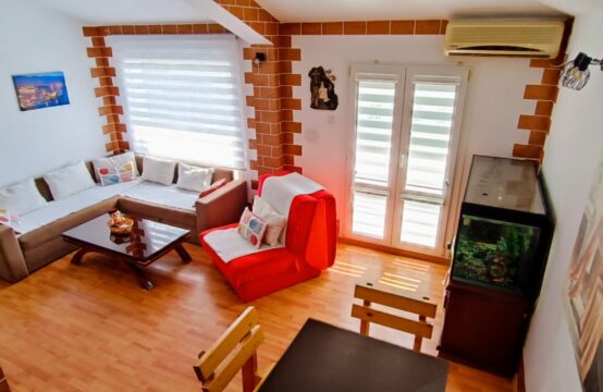 One-bedroom apartment for rent until June 2026